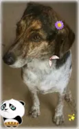 ESMERALDA