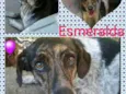ESMERALDA