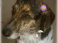 ESMERALDA