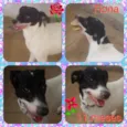 Fiona