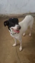 Fiona