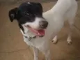 Fiona