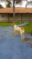 Latildo