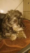 PEPI