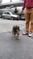 PEPI