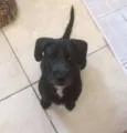 Cléo