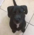Cléo