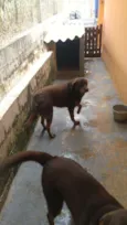 Lola e Spyd