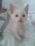 Vitor