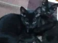 Não tem ainda