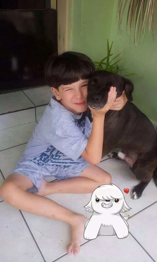 Cachorro ra a Sem raça definida idade 6 ou mais anos nome Flor/ Sophia/ Cookie