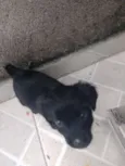 Lua