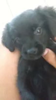 Lua