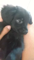 Lua