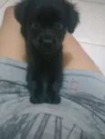 Lua