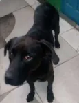 Negão 