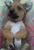sem nome