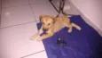 Não tem nome ainda