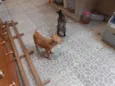 edna