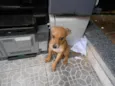 edna