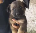  Porthos