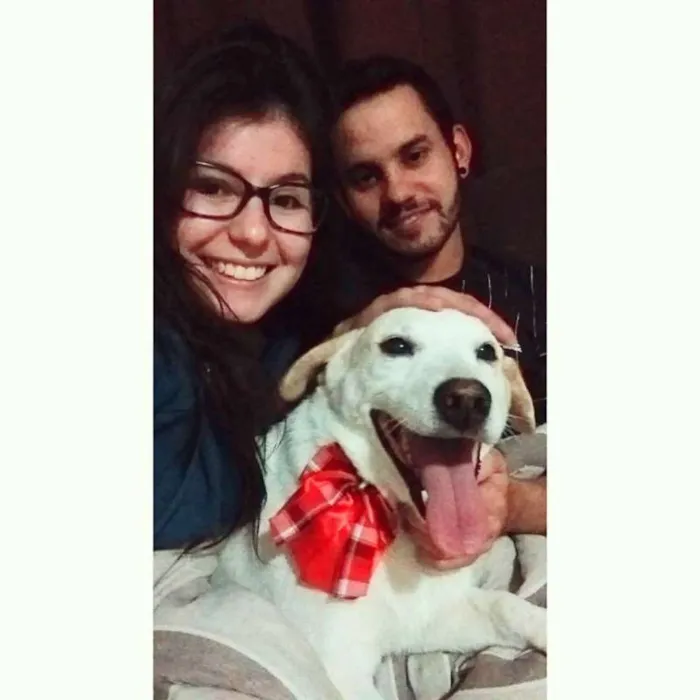 Cachorro ra a SRD idade 2 anos nome Barney