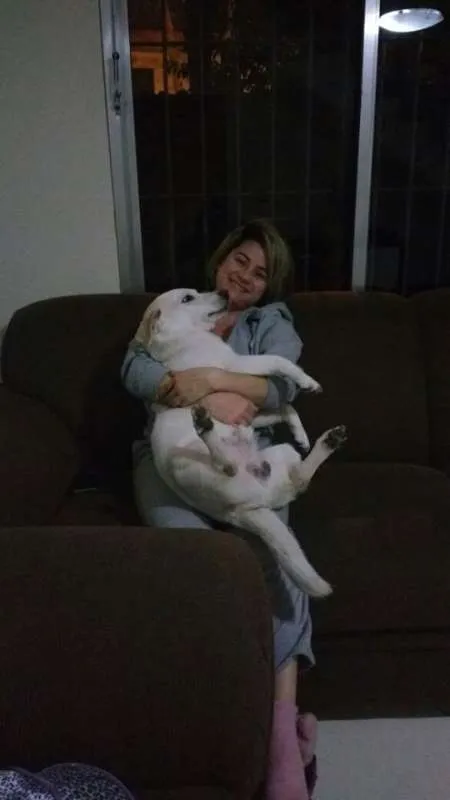 Cachorro ra a SRD idade 2 anos nome Barney