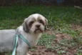 Bilu