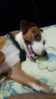 Tobias