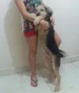 Lucas