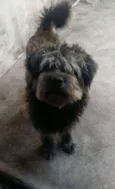 Fred