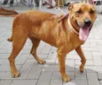 Fiona