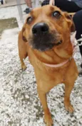 Fiona