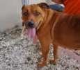 Fiona