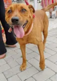 Fiona