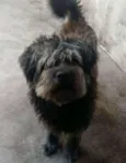 Fred