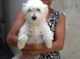 Mel