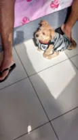 Fred