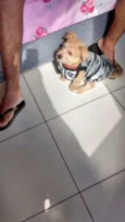 Fred