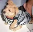 Fred