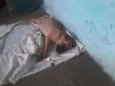 não tem