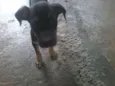 não tem