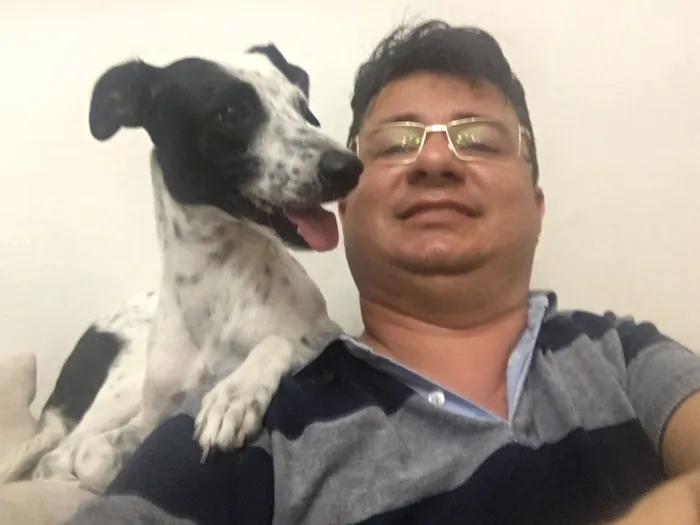 Cachorro ra a Vira com dálmata  idade 2 anos nome Benfica ou nina 