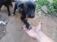 Fiona