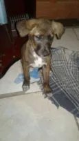 TECA