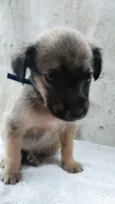 ???