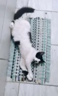 Dudu