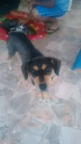 Não há