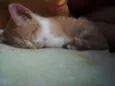 Oliver