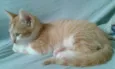 Oliver